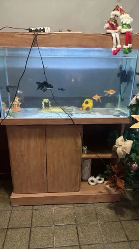 Aquario gigante