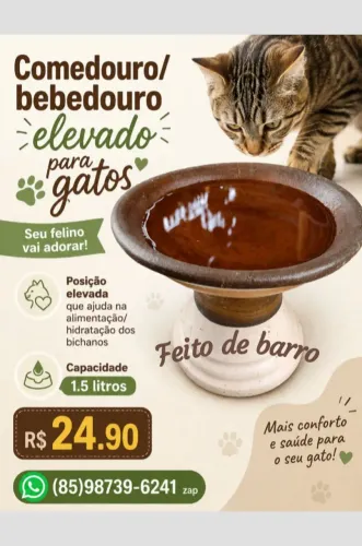 Bebedouro elevado para gatos 