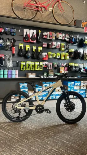 Bicicleta Infantil Sense Aro 20
