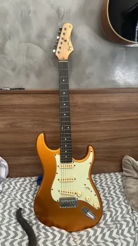 Guitarra stratocaster tagima
