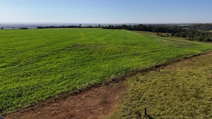 FAZENDA À VENDA - QUIRINÓPOLIS/GO