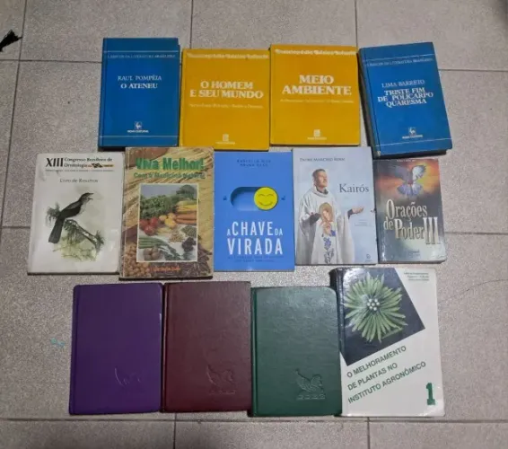 Livros diversos um 5 reais