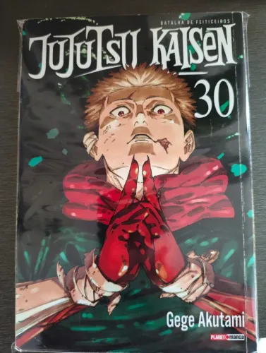 Jujutsu Kaisen Volume 30