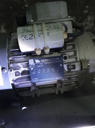 Motor