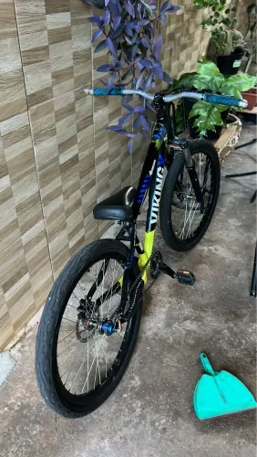 Vikingx