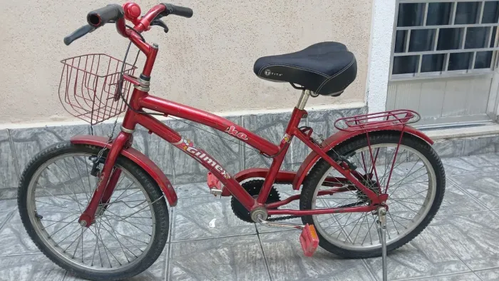 Bicicleta Infantil Aro 20 Gilmex Ika - Completa com Cestinha e Porta-Bagagens