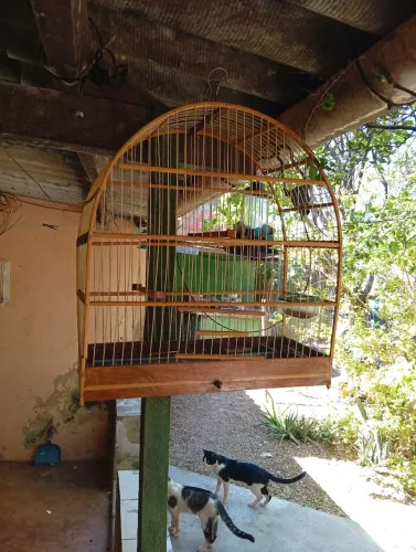 Gaiolas para pássaro