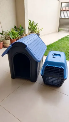 Kit Pet Completo: Casinha + Caixa de Transporte