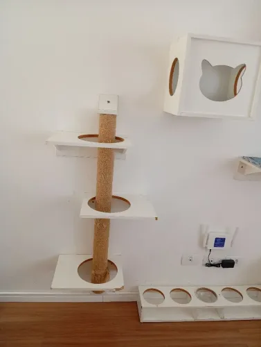 Brinquedo gatos