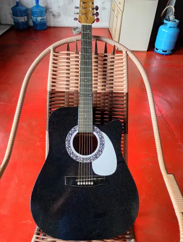 Violão Giannini Star