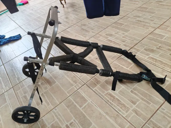 Cadeira de rodas para cachorro de médio e grande. Só foi usada 3 vezesporte