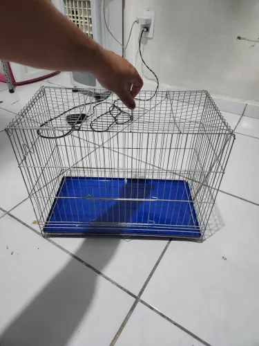 Gaiola para aves