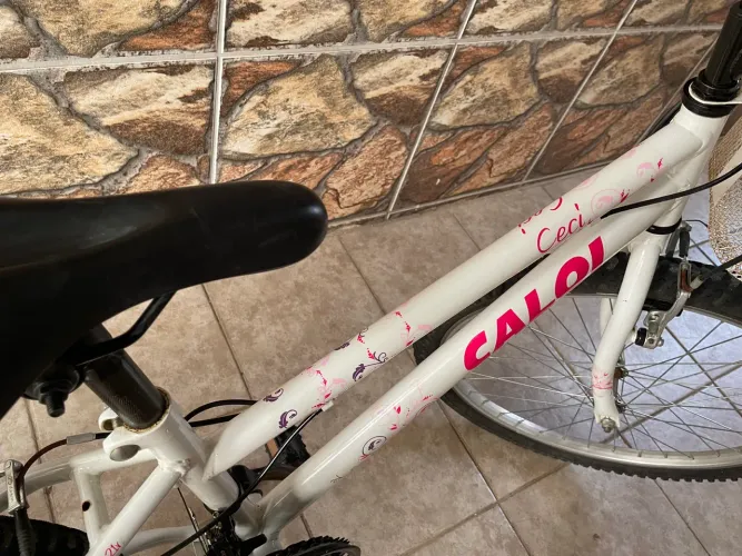 Ceci aro 24 em excelente estado