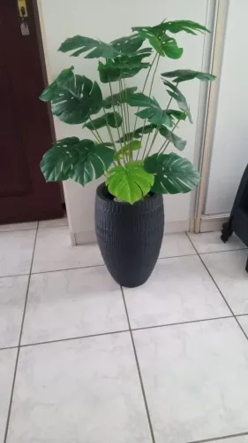 Costela de Adão + Jarro planta artificial