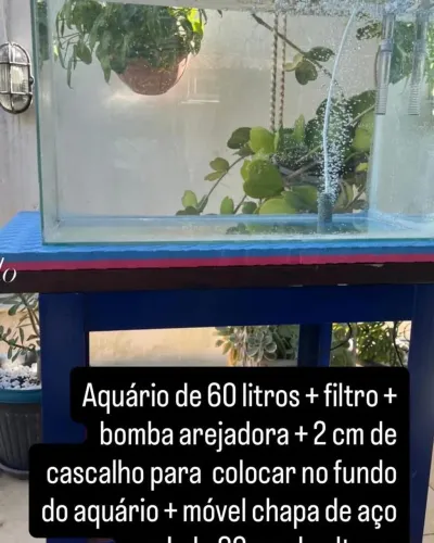 Aquário novíssimo completo!