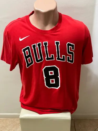 Chicago Bulls