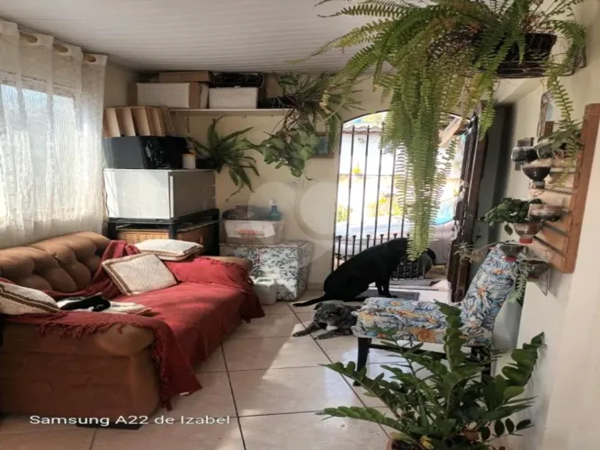 Terreno grande com 2 casas em São Paulo! Casas bem arejadas.