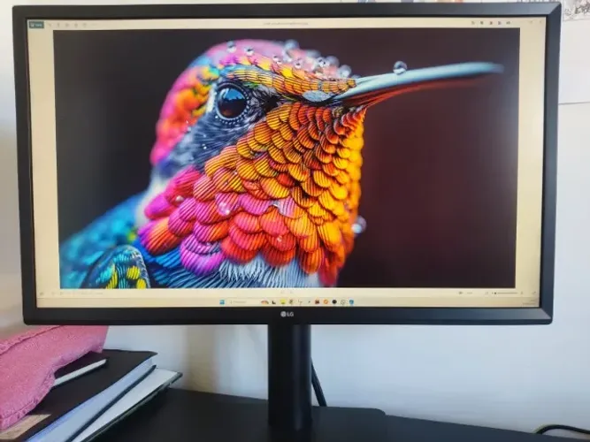 Monitor Profissional LG 27MU58P - Preto - Tela 27" - Ultra HD 4K - 60Hz - 5 ms - VESA - HD