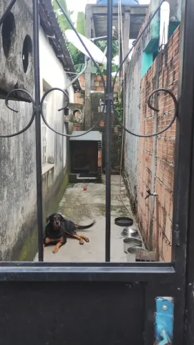 Rua padre Ramim n38 zumbir dos Palmares 2