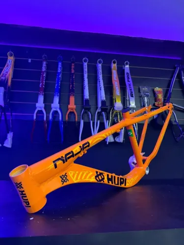 Quadro Hupi Naja Aro 26 - PRONTA ENTREGA