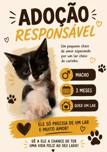 Adoção de Gatinho