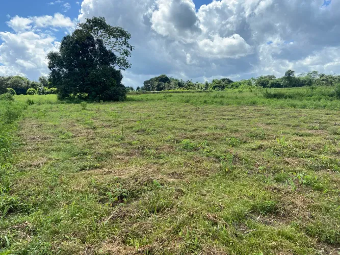 Terreno em Igarapé Açu na estrada velha do Maracanã.