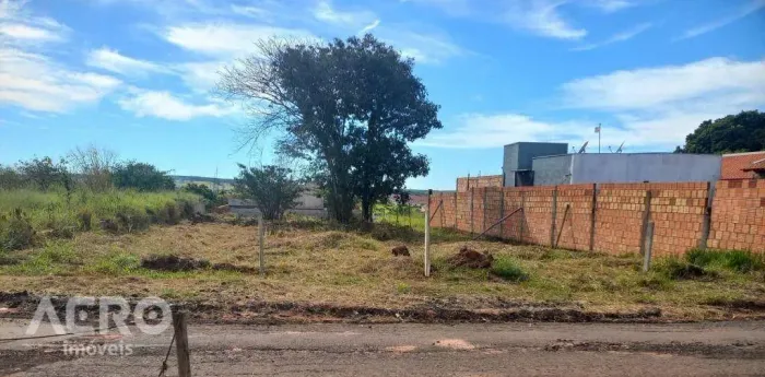 Terreno à venda, 706 m² por R$ 199.000,00 - Quinta da Bela Olinda - Bauru/SP