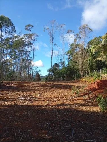 Terreno com mil metros quadrados R$90.000.00 em Ribeirão do Cristo Alfredo chaves-ES