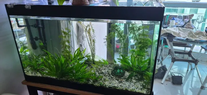 Aquário 160L com mesa, Luz Chiriros e Filtro SunSun