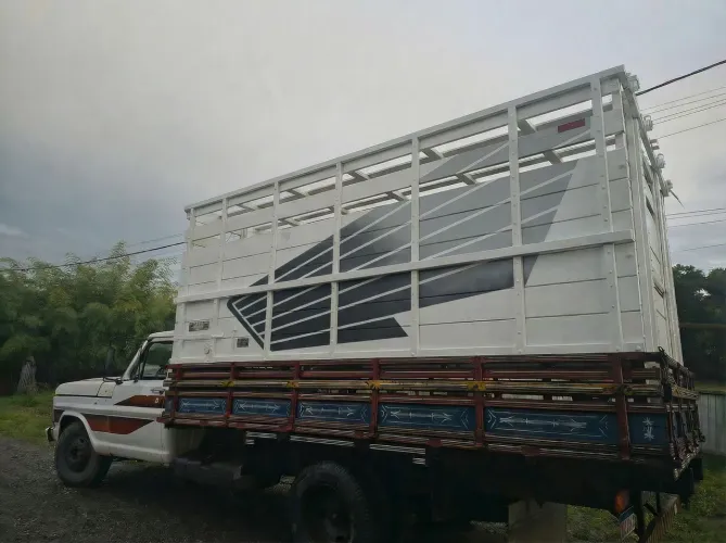Excelente sobre grade boiadeira de F4000