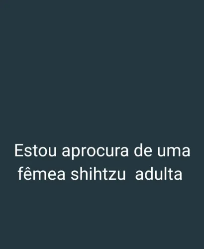 Shihtzu