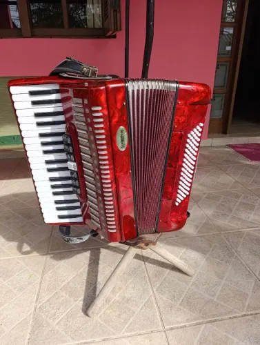 Vendo gaita Todeschini 80 baixos R$4.800,00