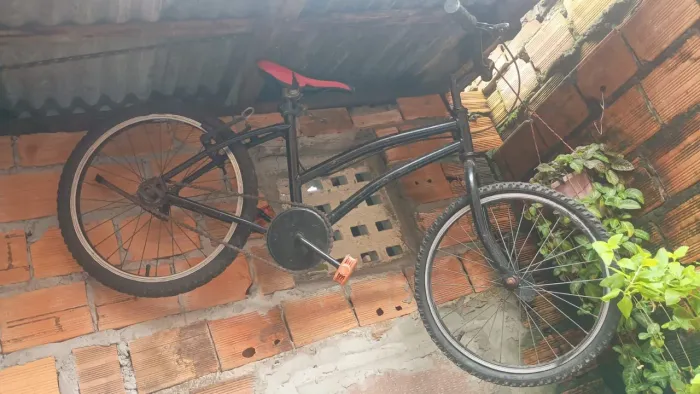 Bicicleta