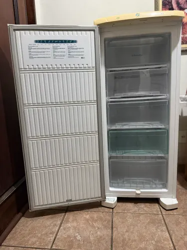 Freezer Electrolux