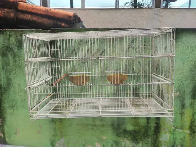 Gaiola chocadeira 