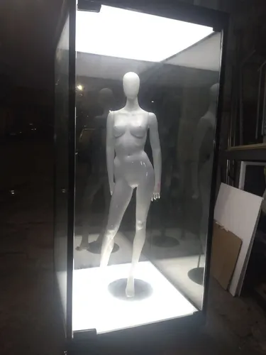 Vitrine móvel 