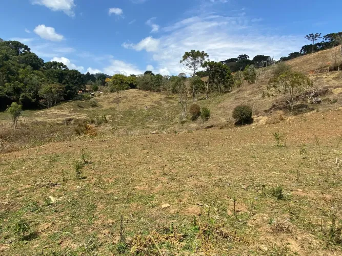 Terreno para venda contendo 20.000 metros quadrados em Zona Rural - Delfim Moreira - Sul d