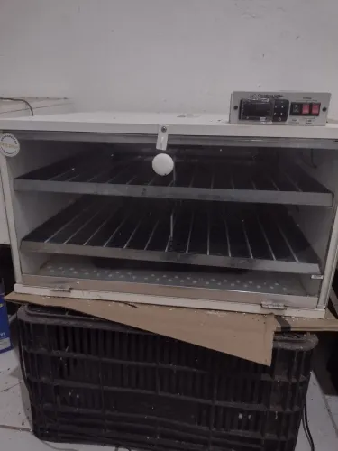 Chocadeira Golden 120 ovos