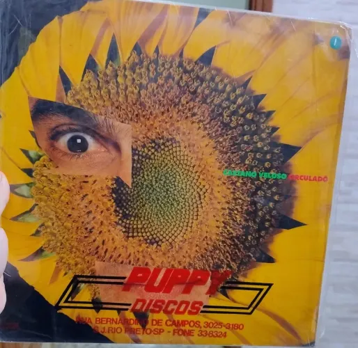 Disco de Vinil Caetano Veloso Circulado