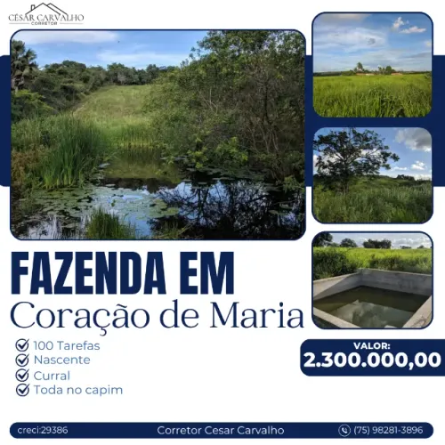 FAZENDA EM CORAÇÃO DE MARIA - 100 TAREFAS