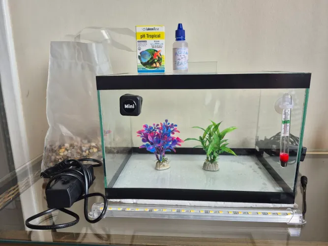 Kit Aquário Peixe Betta