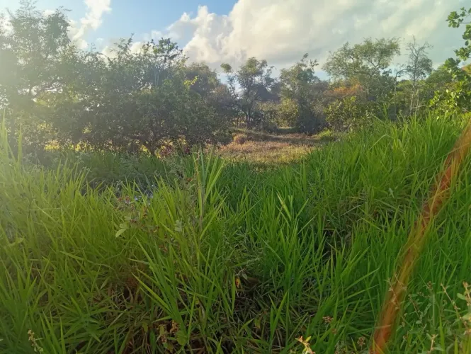Terreno no Paruí a 5 minutos da Caueira