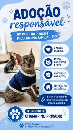 Doação de gato