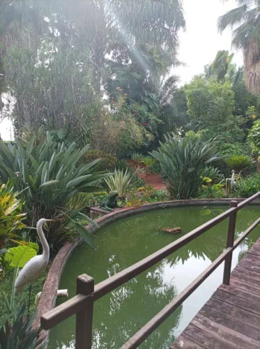 Chácara com 6 dormitórios à venda, 9730 m² por R$ 6.950.000,00 - Setor Coimbra - Goiânia/G