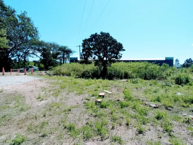 Terreno area industrial e comercial margem da BR 101