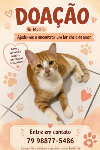 Adoção