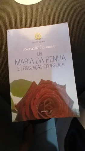Lei maria da penha