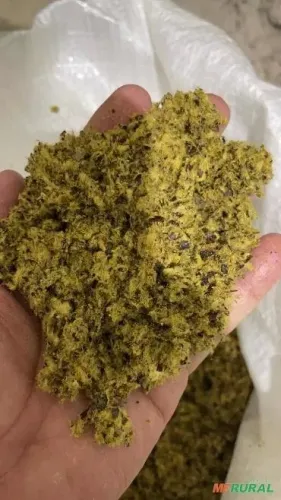 Torta de algodão ensacada