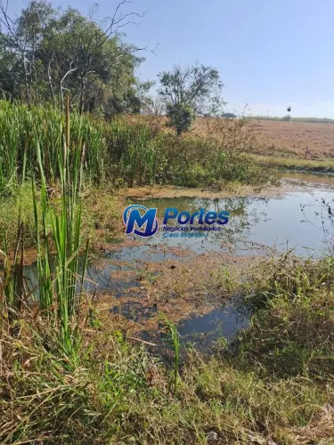 Sítio de 6.25 alqueires em Guaraci SP, 4 km de terra