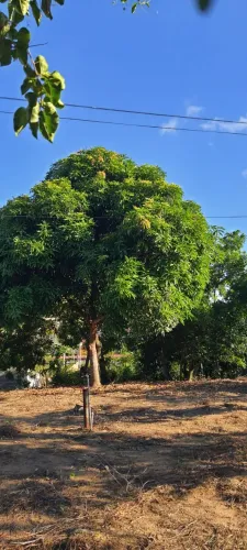 2 lotes lado a lado, 300 m2 cada um, juntos ou separados Sao Gabriel Guarapari